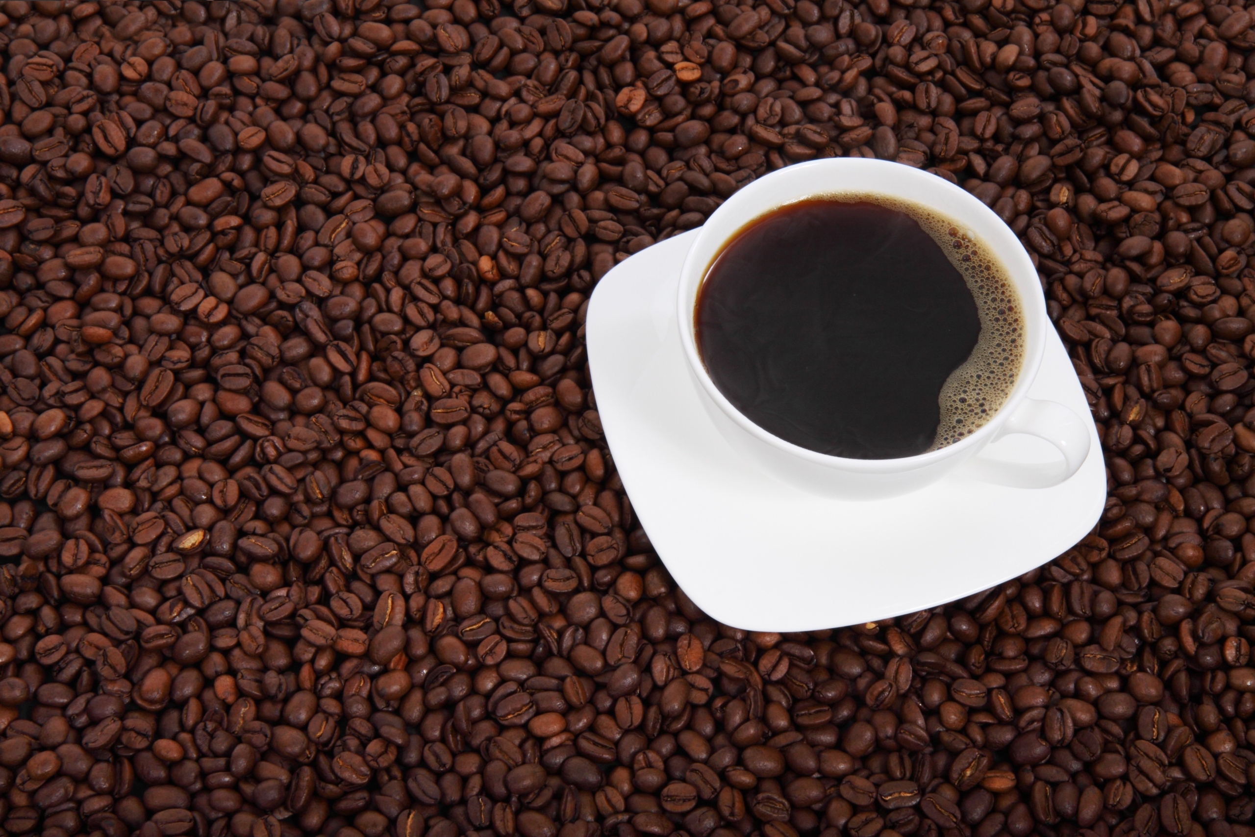 Your morning coffee is not merely caffeine delivery—it represents a ritual, a moment of intention before the day's chaos, a small luxury determining your entire morning experience. Yet most people approach coffee selection haphazardly, purchasing whatever appears convenient without understanding quality differences or how those differences affect daily satisfaction. The gap between mediocre coffee and exceptional coffee is substantial. Exceptional coffee tastes rich, complex, nuanced, and genuinely enjoyable. Mediocre coffee tastes bitter, flat, and forgettable, often tolerated only for its caffeine delivery. Koffie voor Deel recognizes this distinction and sources exceptional coffee beans from global origins, ensuring that your daily morning ritual delivers genuine pleasure alongside energy. Understanding coffee quality requires understanding where coffee comes from, how it is processed, and how specific origins produce distinct flavor profiles. Coffee quality begins with the bean. Not all coffee beans are equal. Altitude where coffee grows affects bean density and flavor complexity. Climate during growing season impacts sweetness and acidity balance. Soil composition influences mineral expression in the final cup. Koffie voor Deel sources beans from specific origins renowned for exceptional quality—Ethiopian highlands producing bright, fruity notes; Colombian mountains creating balanced, chocolatey complexity; Kenyan estates contributing floral, wine-like characteristics. The specific origin of your coffee directly determines what you taste in your cup. Mass-market coffee blends different origins indiscriminately, creating consistent mediocrity. Premium sourcing like Koffie voor Deel celebrates specific origins, honoring where exceptional beans grow and what terroir contributes to their character. When you purchase Koffie voor Deel beans, you are purchasing coffee with a story—a specific elevation, a particular climate, a distinct region where that coffee achieved excellence.